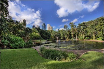 Brisbane Botanical Gardens e1266984423936 G’Day Brisbane