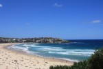Where to Plant Roots in Australia