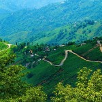 The windy road to Darjeeling, India