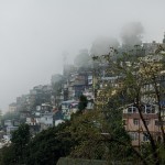 Fog lifting off the hills of Darjeeling