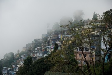 Fog lifting off the hills of Darjeeling