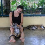 Loving on some baby tiger cubs