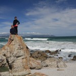 Whale-watching on the shores of Hermanus Bay