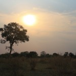 Sunset over Moremi Game Reserve