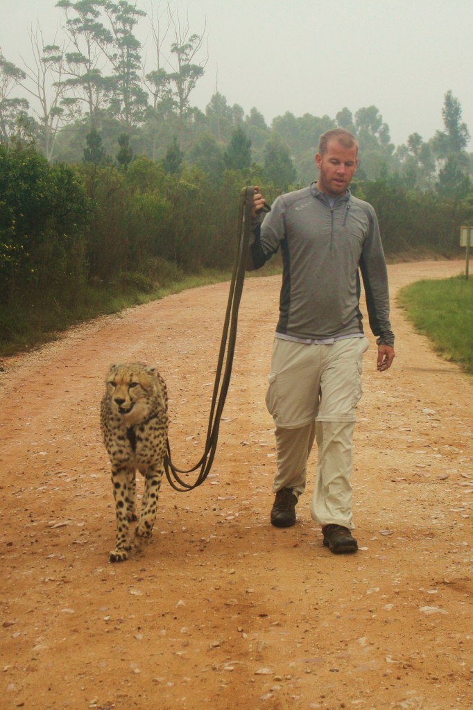 Ryan & Cheetah