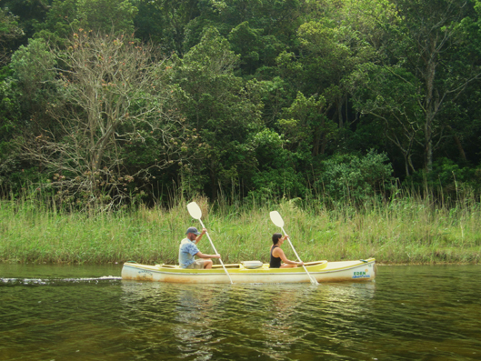 Canoeing through Wilderness Wildlife Reserve
